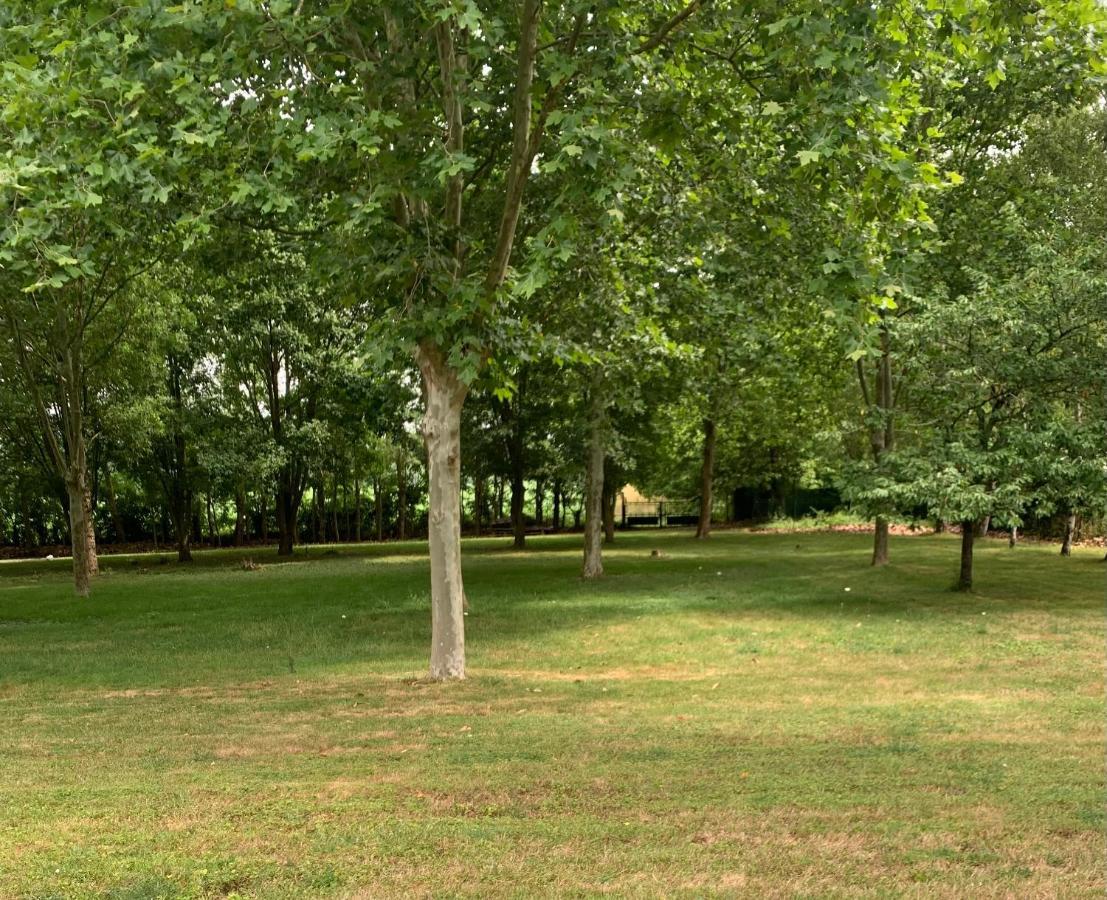 Cramchaban Maison D'Hotes La Chabanaise - Marais Poitevin المظهر الخارجي الصورة