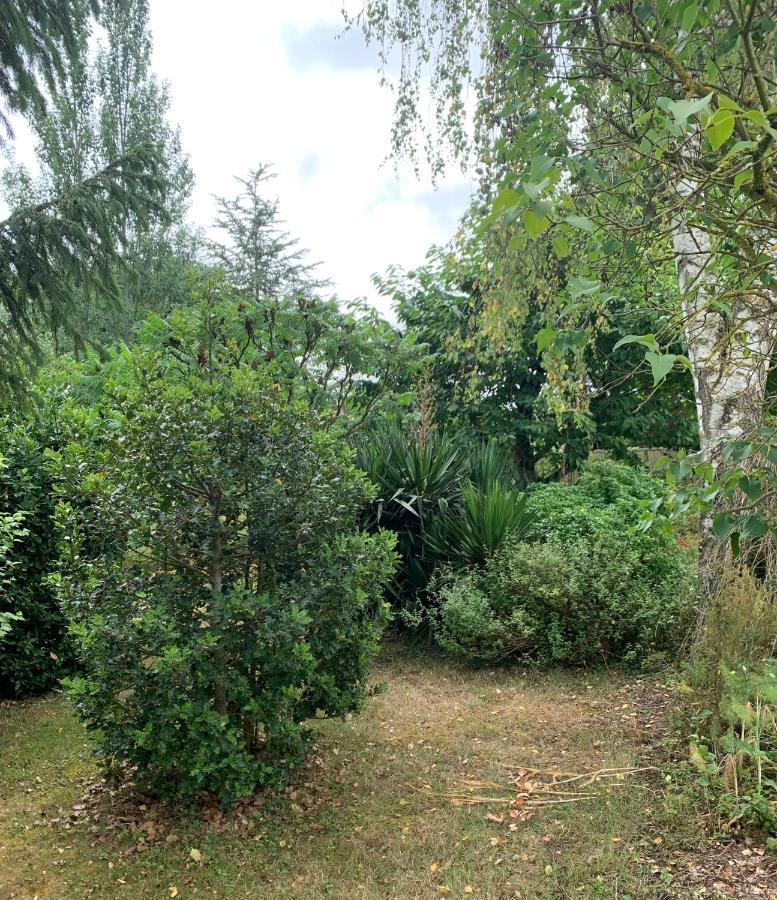 Cramchaban Maison D'Hotes La Chabanaise - Marais Poitevin المظهر الخارجي الصورة